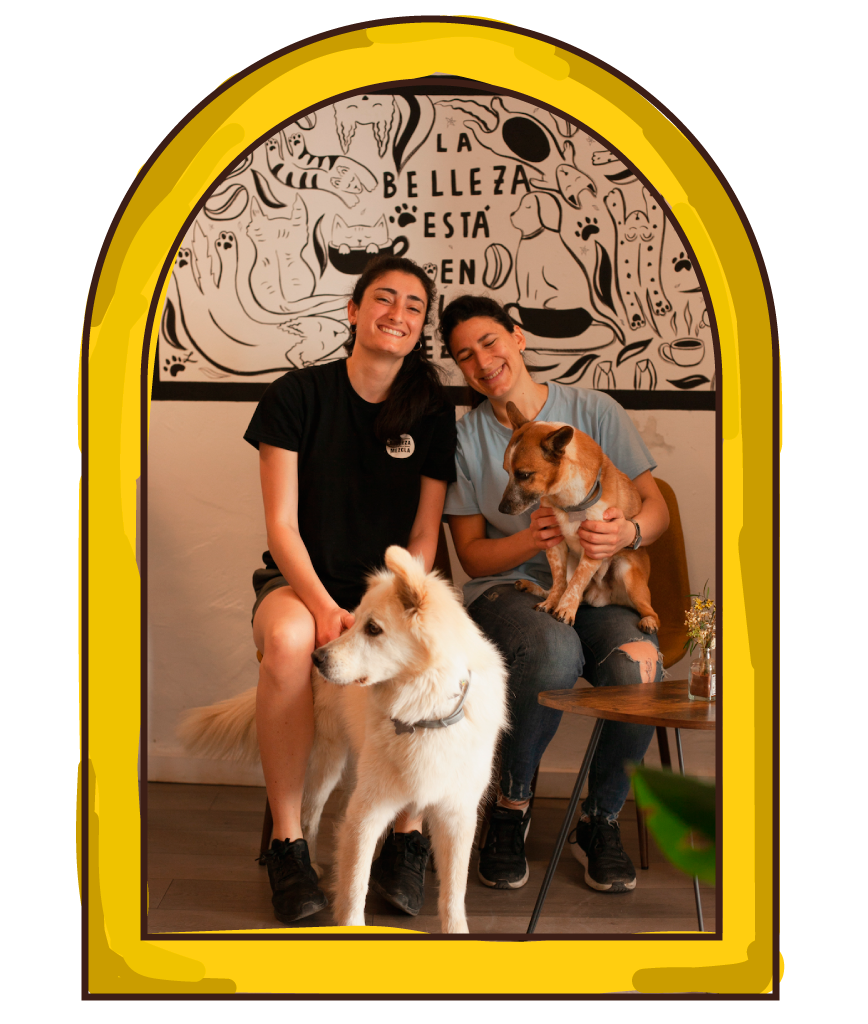 mestizo cafe equipo cafe pet friendly cafe valencia